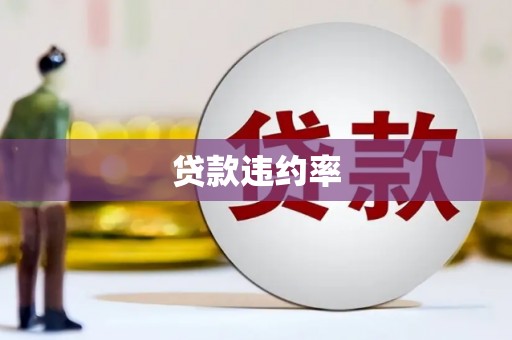 北竿贷款违约率