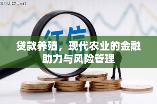 北竿贷款养殖，现代农业的金融助力与风险管理