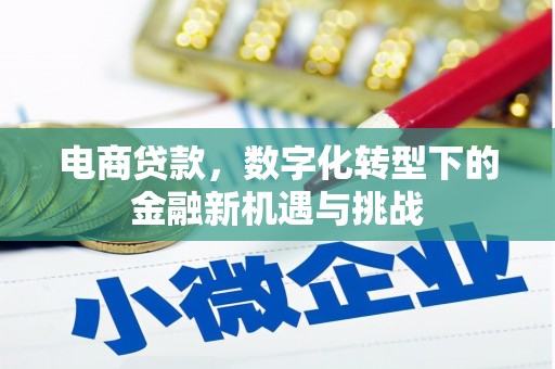 北竿电商贷款，数字化转型下的金融新机遇与挑战