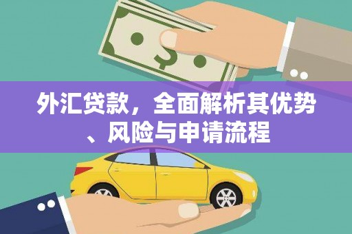 北竿外汇贷款，全面解析其优势、风险与申请流程