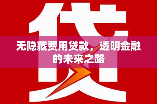 北竿无隐藏费用贷款，透明金融的未来之路