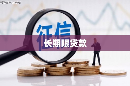 北竿长期限贷款