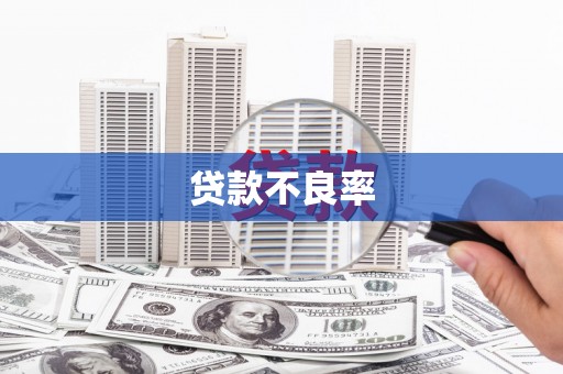 北竿贷款不良率