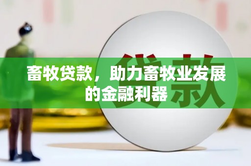 北竿畜牧贷款，助力畜牧业发展的金融利器