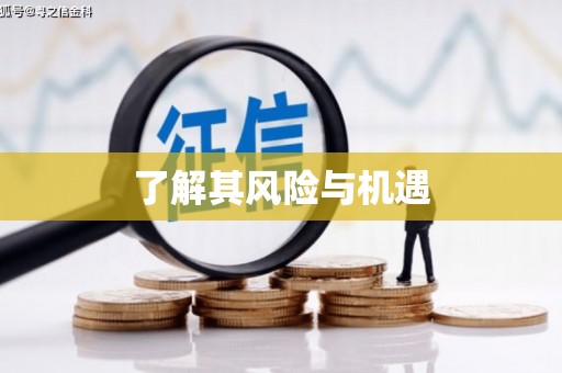 北竿了解其风险与机遇