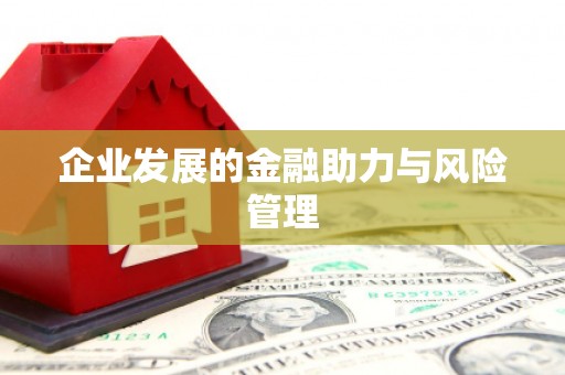 北竿企业发展的金融助力与风险管理