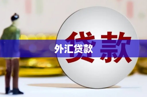 北竿外汇贷款