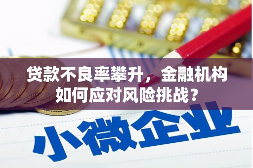 北竿贷款不良率攀升，金融机构如何应对风险挑战？