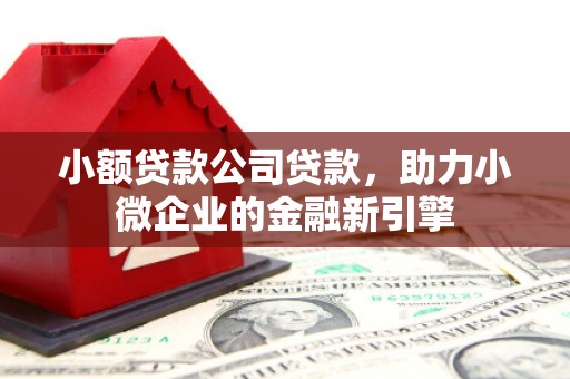 北竿小额贷款公司贷款，助力小微企业的金融新引擎