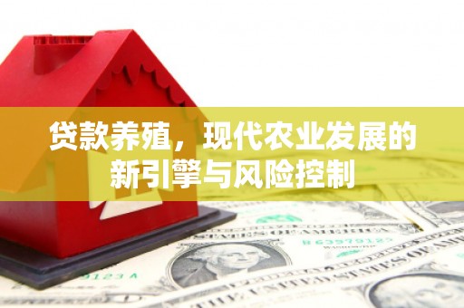北竿贷款养殖，现代农业发展的新引擎与风险控制