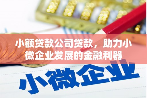 北竿小额贷款公司贷款，助力小微企业发展的金融利器
