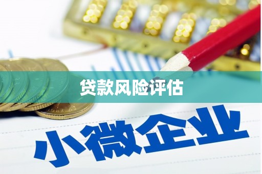 北竿贷款风险评估