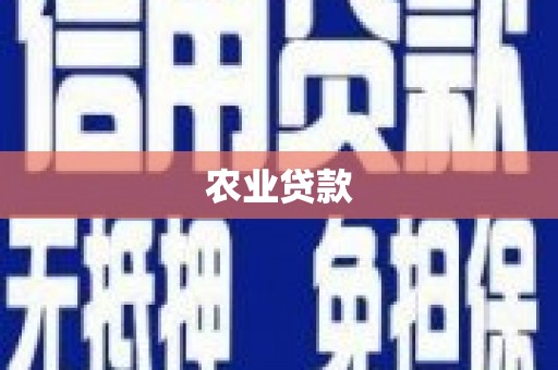 北竿农业贷款