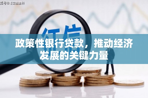 北竿政策性银行贷款，推动经济发展的关键力量