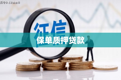 北竿保单质押贷款