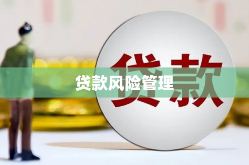 北竿贷款风险管理