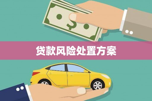 北竿贷款风险处置方案