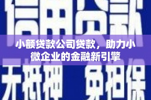 北竿小额贷款公司贷款，助力小微企业的金融新引擎