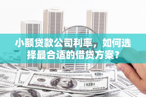 北竿小额贷款公司利率，如何选择最合适的借贷方案？