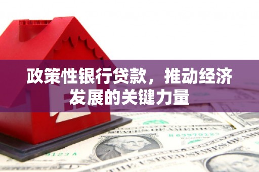 北竿政策性银行贷款，推动经济发展的关键力量