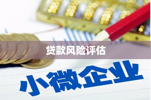 北竿贷款风险评估