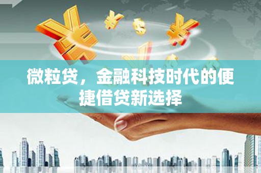 北竿微粒贷，金融科技时代的便捷借贷新选择