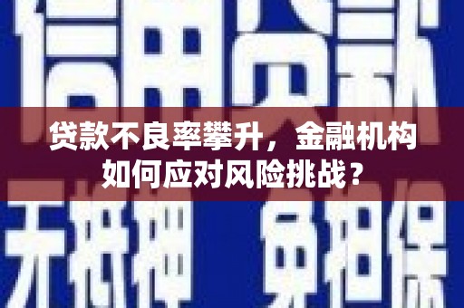 北竿贷款不良率攀升，金融机构如何应对风险挑战？