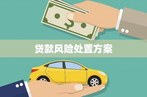 北竿贷款风险处置方案