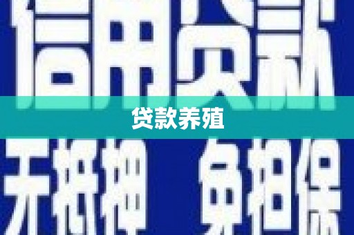 北竿贷款养殖