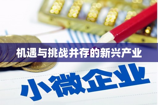 北竿机遇与挑战并存的新兴产业