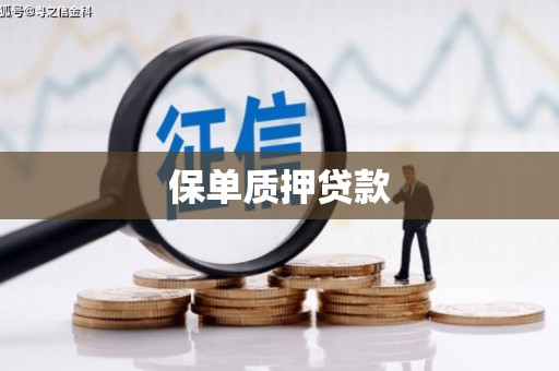 北竿保单质押贷款