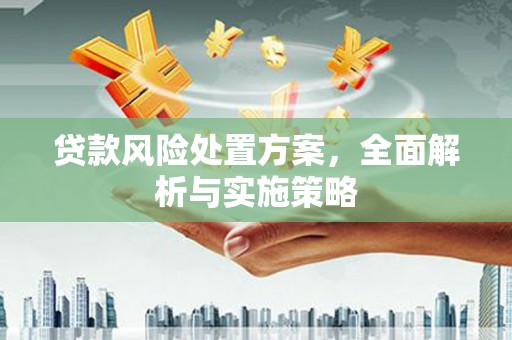 北竿贷款风险处置方案，全面解析与实施策略