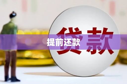北竿提前还款
