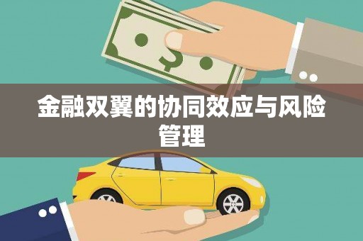 北竿金融双翼的协同效应与风险管理